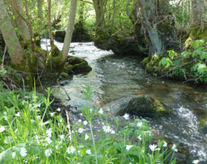 Frühling in Burgund