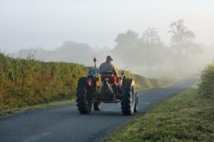 Aktives Reisen-Weinwanderungen, Burgund am Morgen