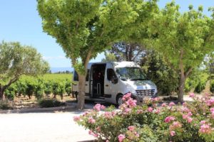 Wandern Provence-Halt im Schatten eines Weinguts