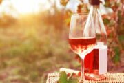 Cote d'Azur und Provence-Weinprobe Provence-Wein und Wandern