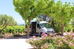 Wandern Provence-Lauschiges Plätzchen auf einem Weingut