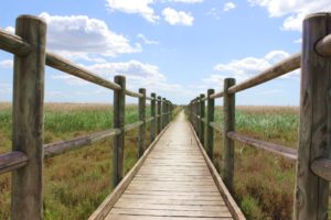 Cote d'Azur und Provence-Steg in der Camargue