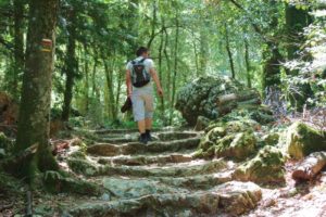 Provence mit Kindern_Wanderung