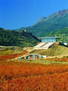 Bodega Baigooria in der Rioja