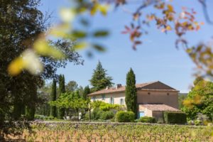frankreich provence - das Weingut in den Weinbergen in der Provence