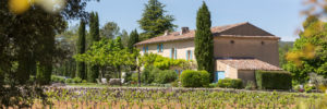 Weingut in den Weinbergen