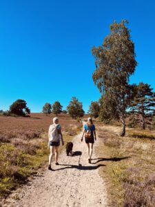europa reisen - K. Seele und A. Seele mit Hund auf dem Wanderweg in der Heide.