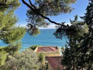 Nizza - Blick durch Bäume auf das azurblaue Mittelmeer.